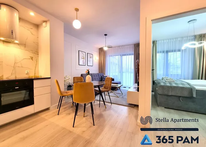 Apartament Gold - 365Pam